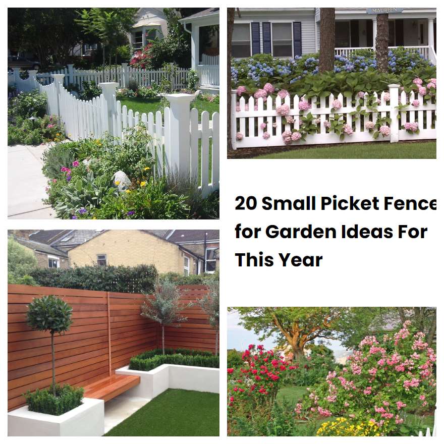 20 Small Picket Fence for Garden Ideas For This Year SharonSable