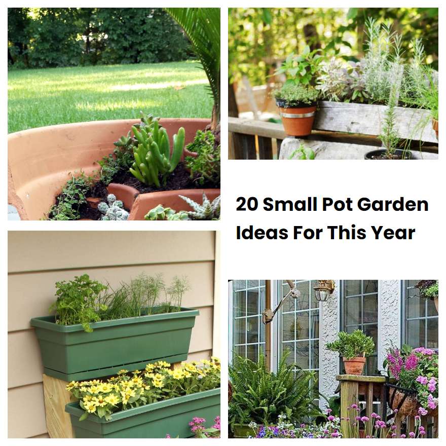 20 Small Pot Garden Ideas For This Year