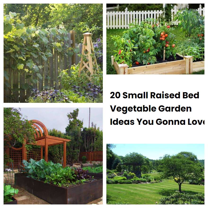 20 Small Raised Bed Vegetable Garden Ideas You Gonna Love