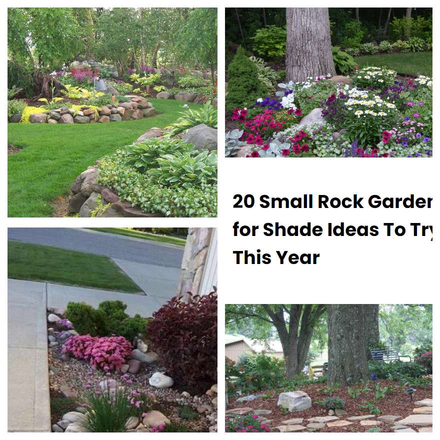 20 Small Rock Garden for Shade Ideas To Try This Year