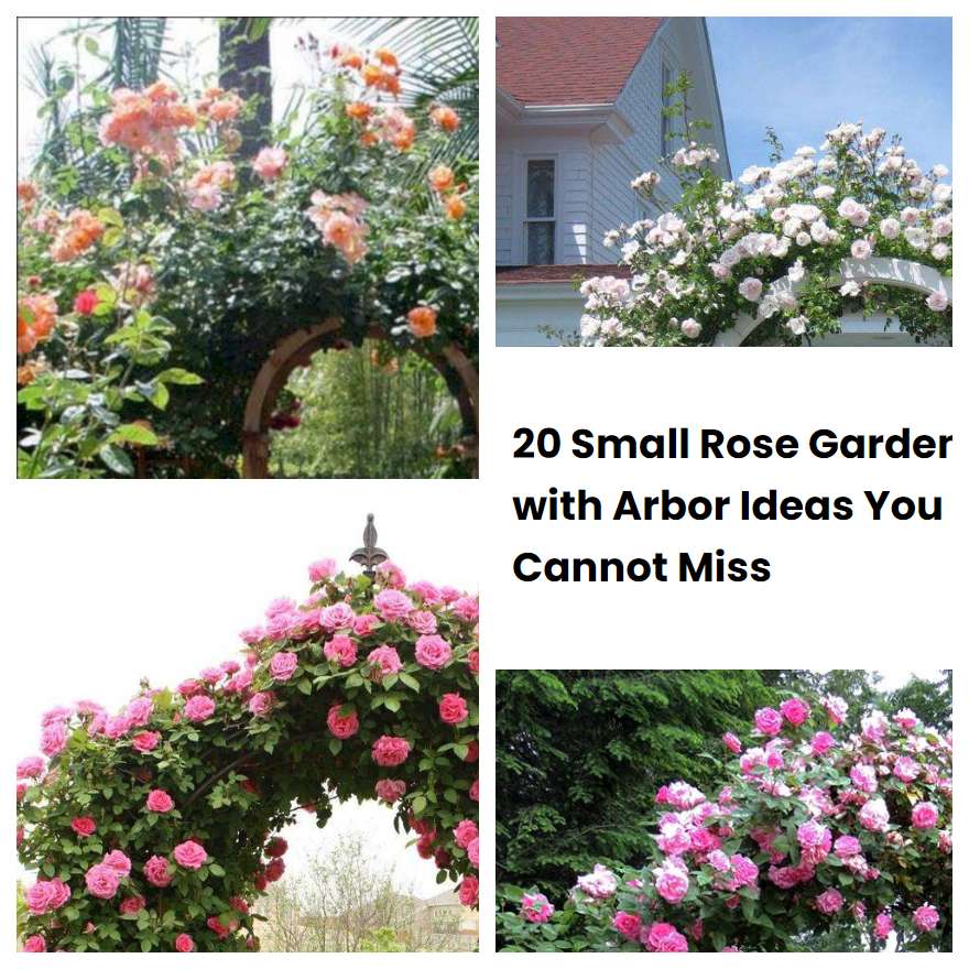 20 Small Rose Garden with Arbor Ideas You Cannot Miss