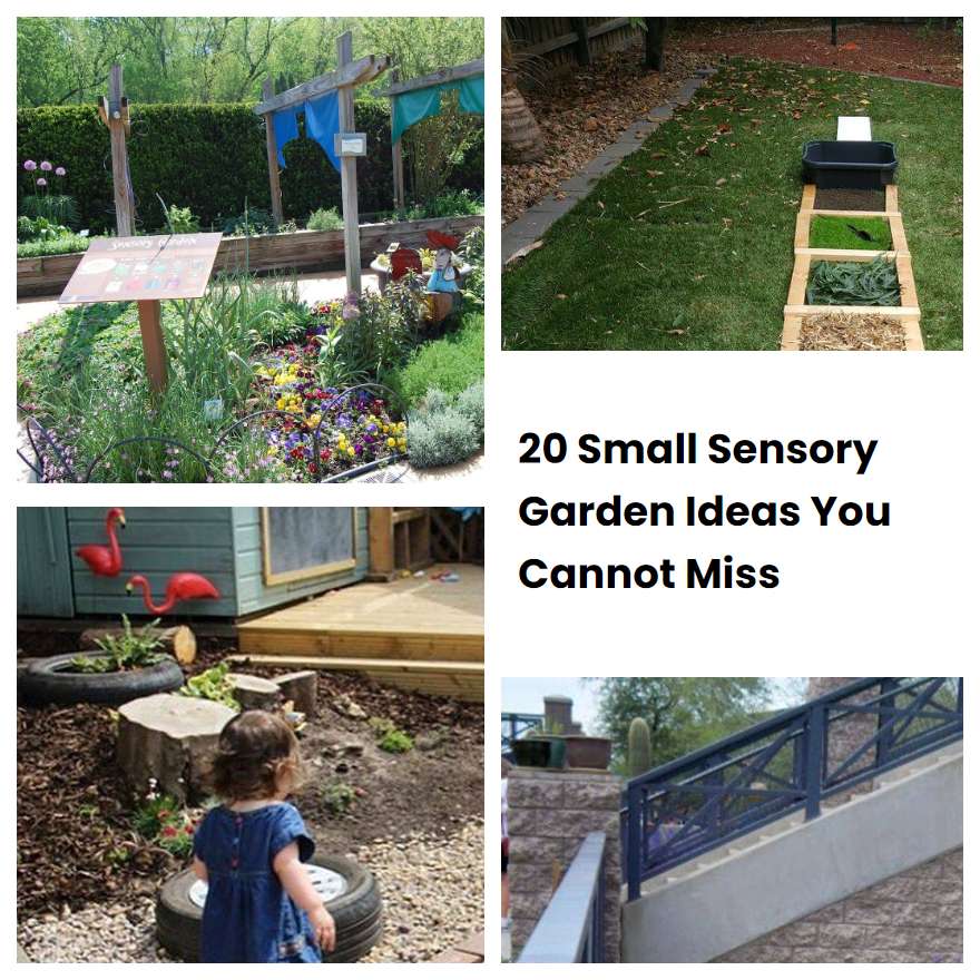 20 Small Sensory Garden Ideas You Cannot Miss SharonSable