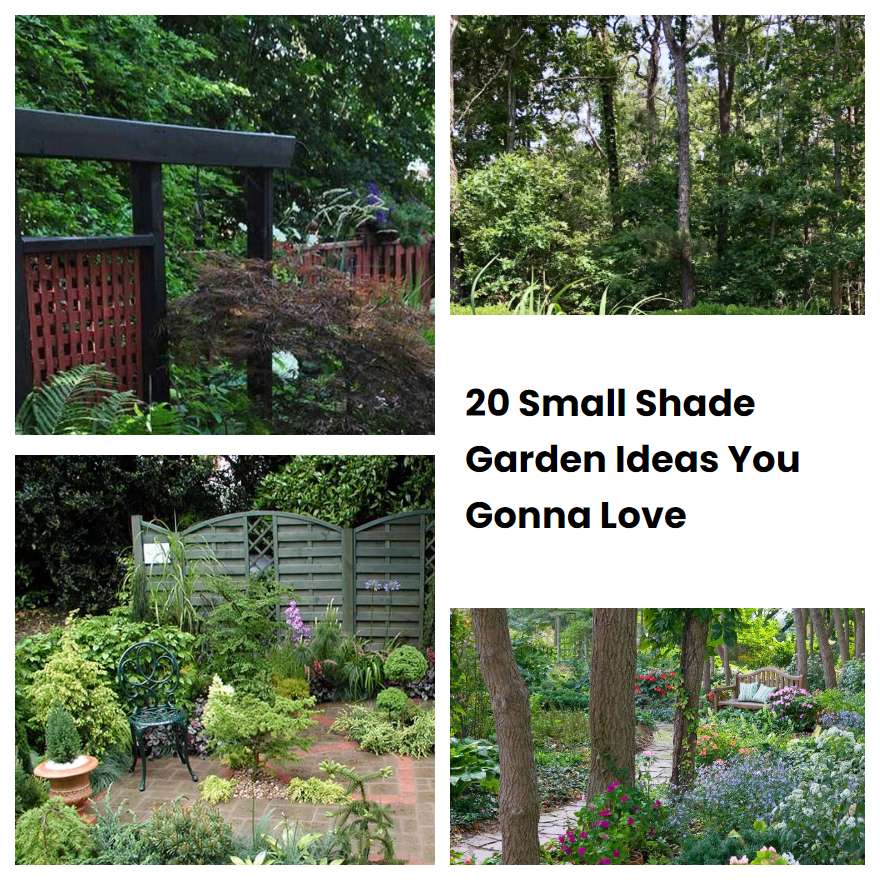 20 Small Shade Garden Ideas You Gonna Love SharonSable
