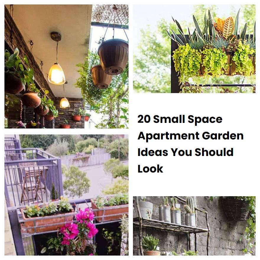 20 Small Space Apartment Garden Ideas You Should Look SharonSable
