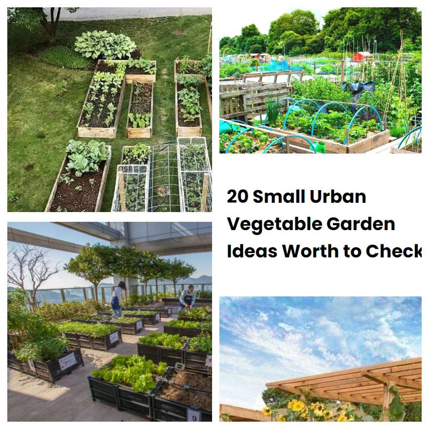 20 Small Urban Vegetable Garden Ideas Worth to Check SharonSable