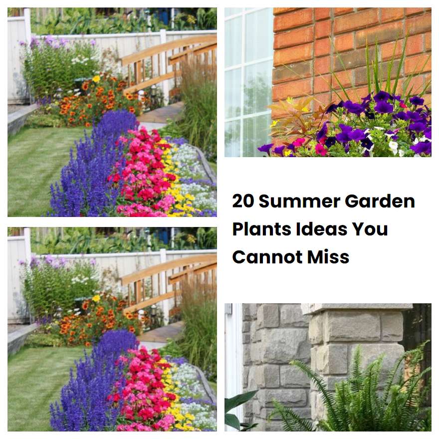 20 Summer Garden Plants Ideas You Cannot Miss SharonSable