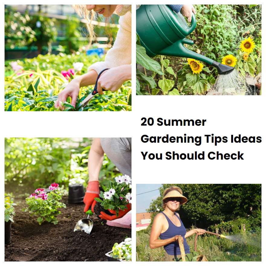 20 Summer Gardening Tips Ideas You Should Check SharonSable