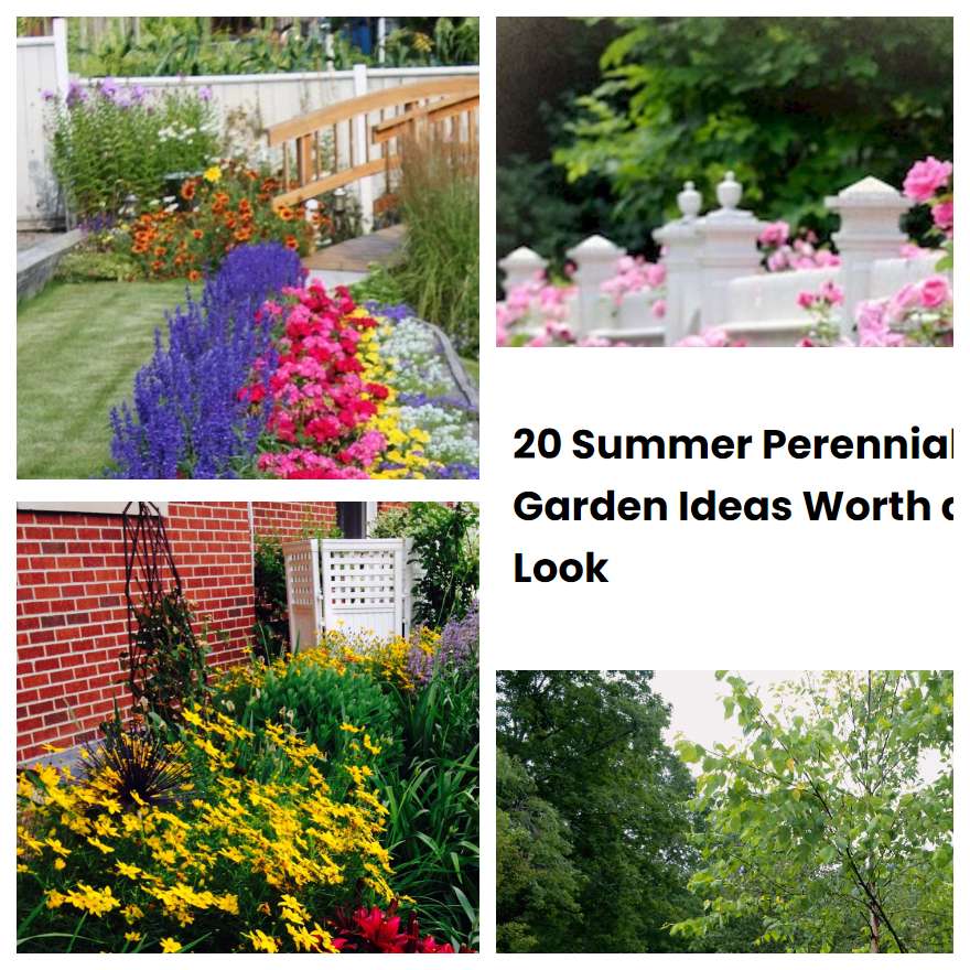 20 Summer Perennial Garden Ideas Worth a Look