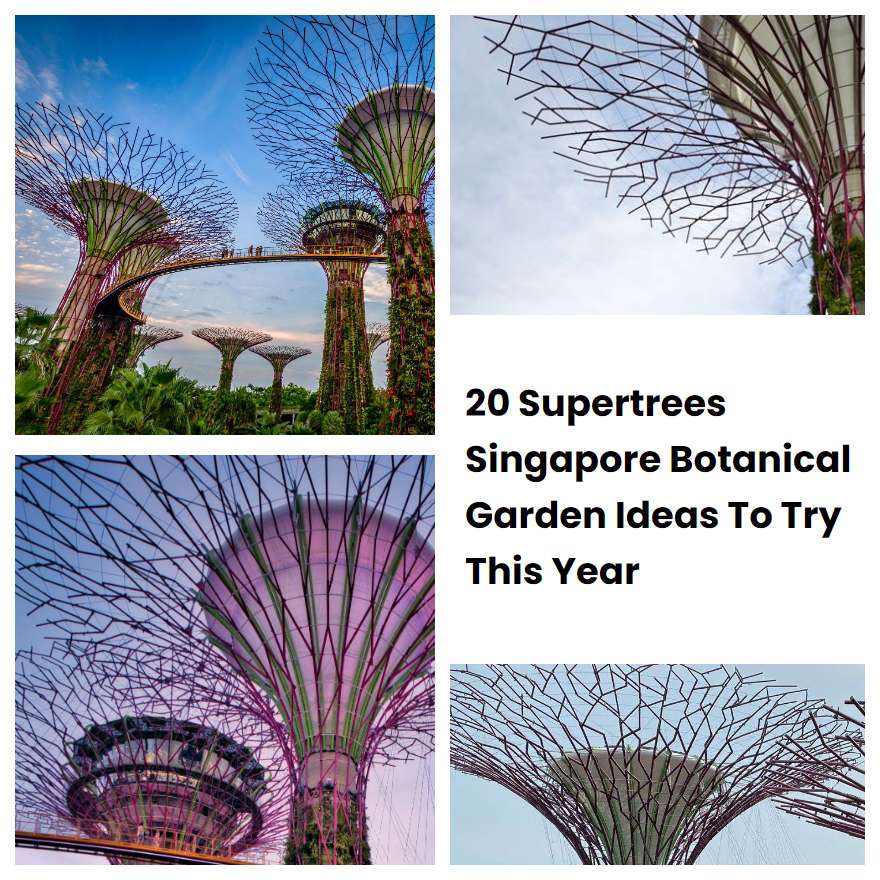 20 Supertrees Singapore Botanical Garden Ideas To Try This Year
