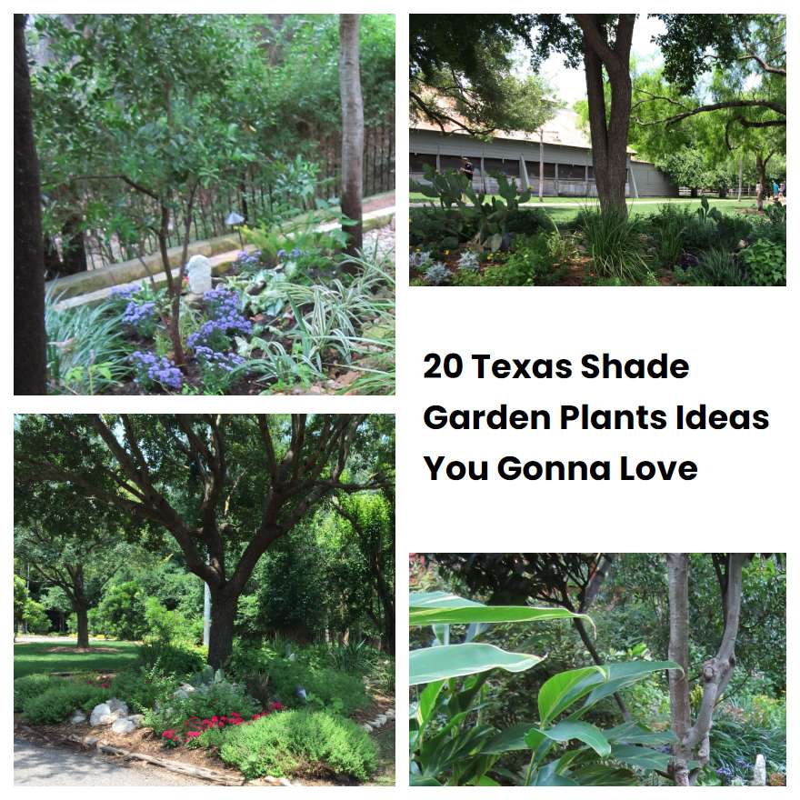 20 Texas Shade Garden Plants Ideas You Gonna Love
