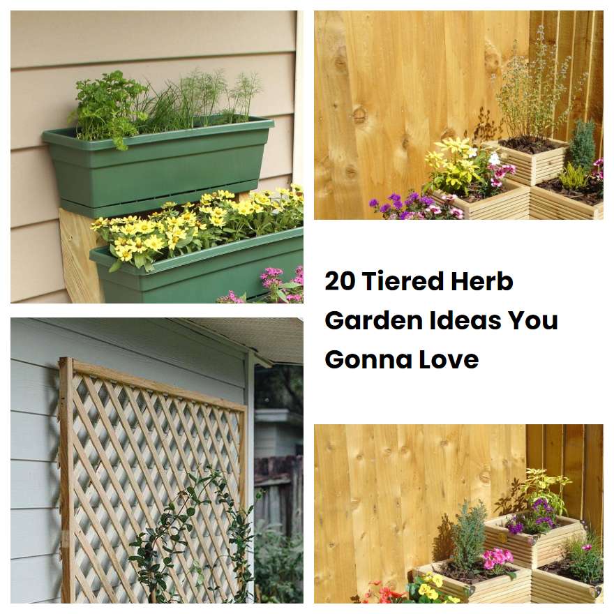 20 Tiered Herb Garden Ideas You Gonna Love