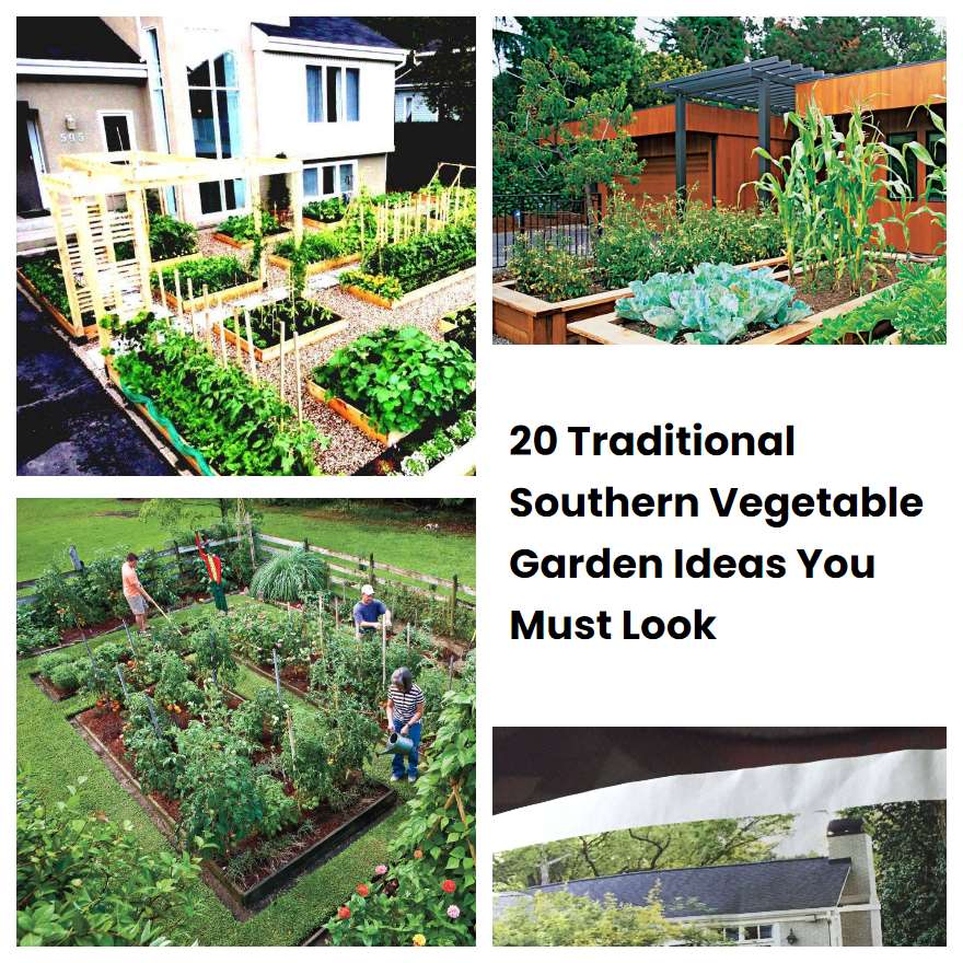 20 Traditional Southern Vegetable Garden Ideas You Must Look SharonSable