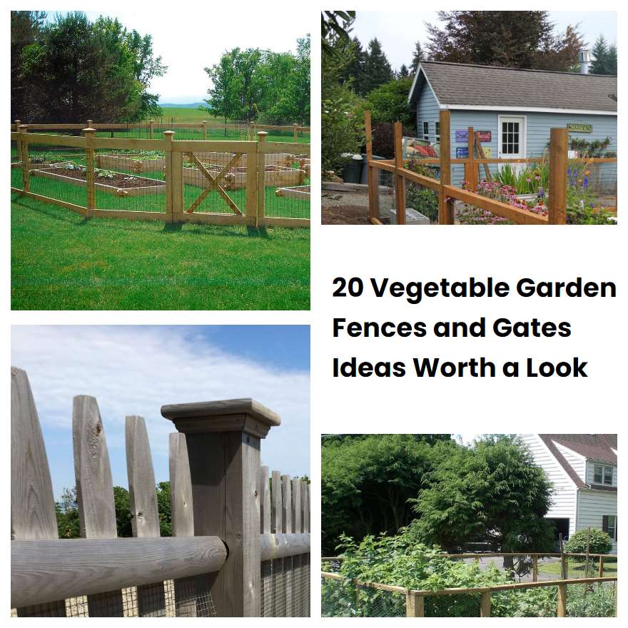 20 Vegetable Garden Fences and Gates Ideas Worth a Look SharonSable