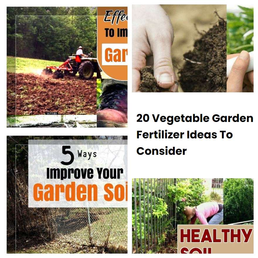 20 Vegetable Garden Fertilizer Ideas To Consider SharonSable