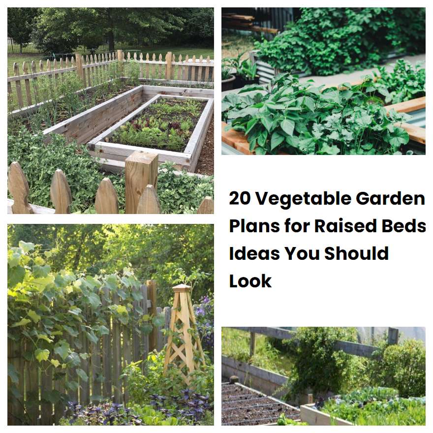 20 Vegetable Garden Plans for Raised Beds Ideas You Should Look