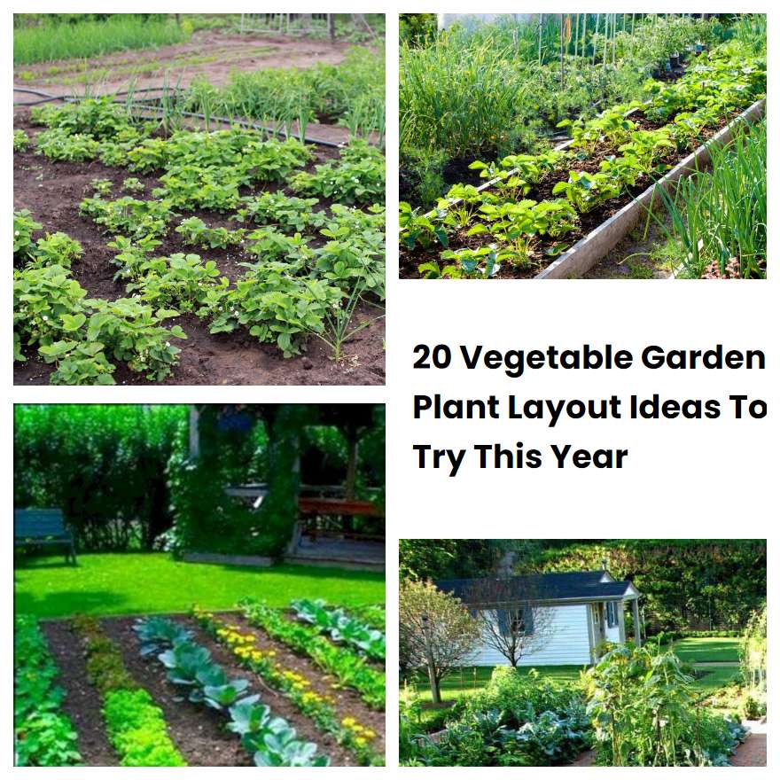 20-vegetable-garden-plant-layout-ideas-to-try-this-year-sharonsable