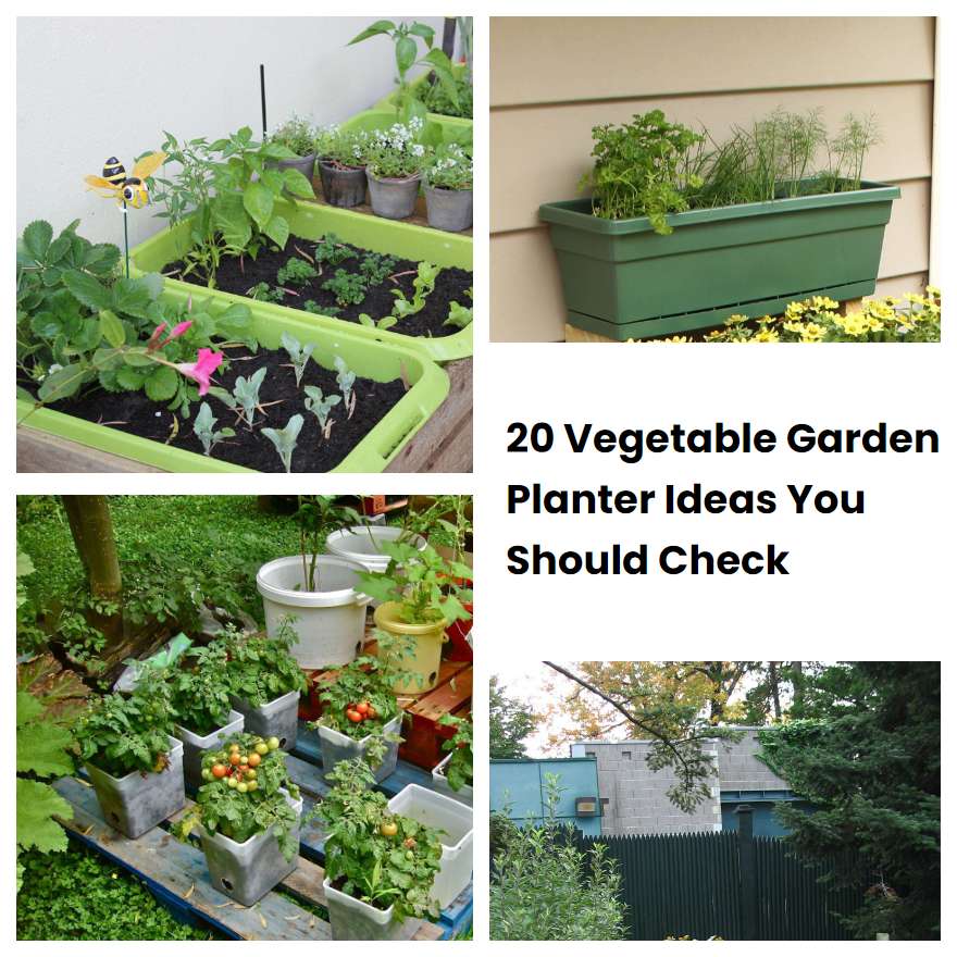 20 Vegetable Garden Planter Ideas You Should Check SharonSable
