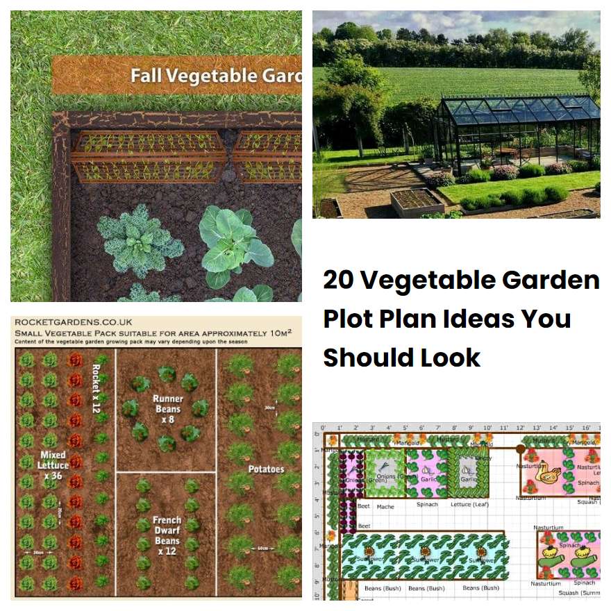 20 Vegetable Garden Plot Plan Ideas You Should Look