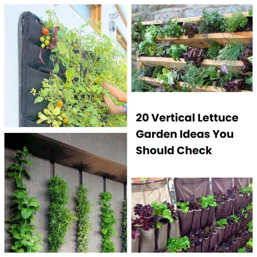 20 Vertical Lettuce Garden Ideas You Should Check