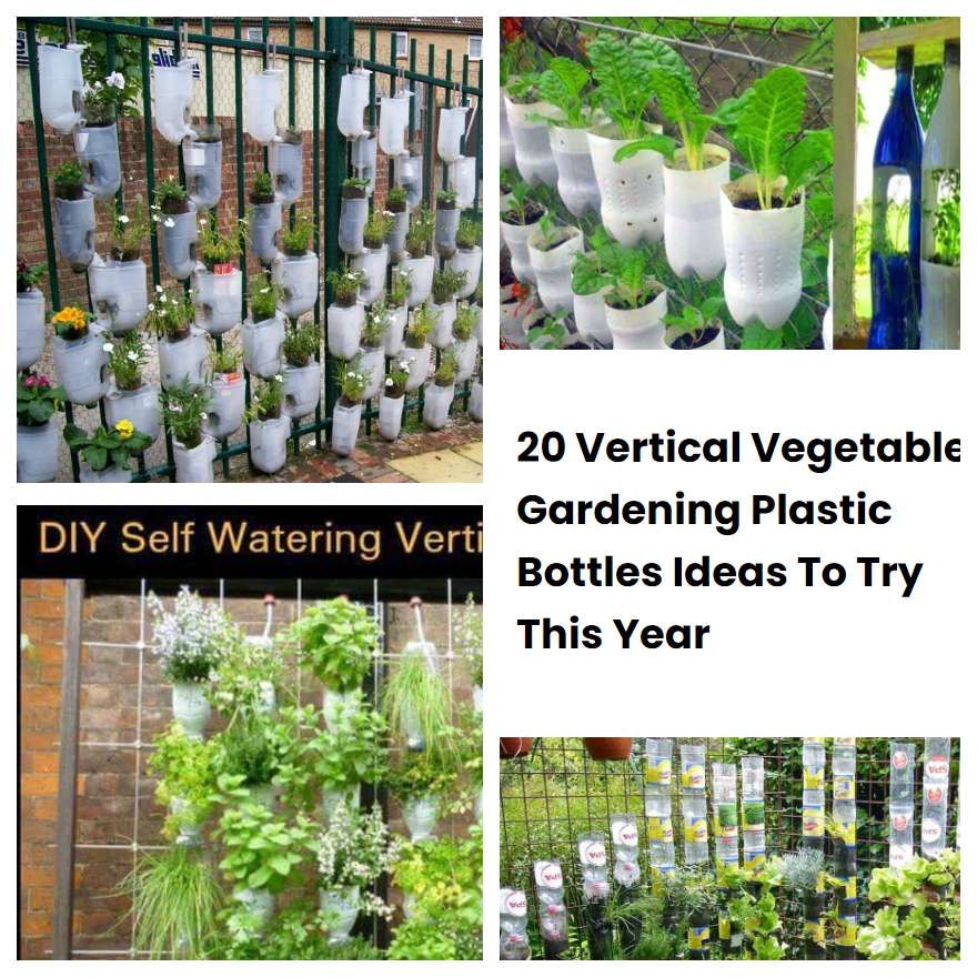 20 Vertical Vegetable Gardening Plastic Bottles Ideas To Try This Year