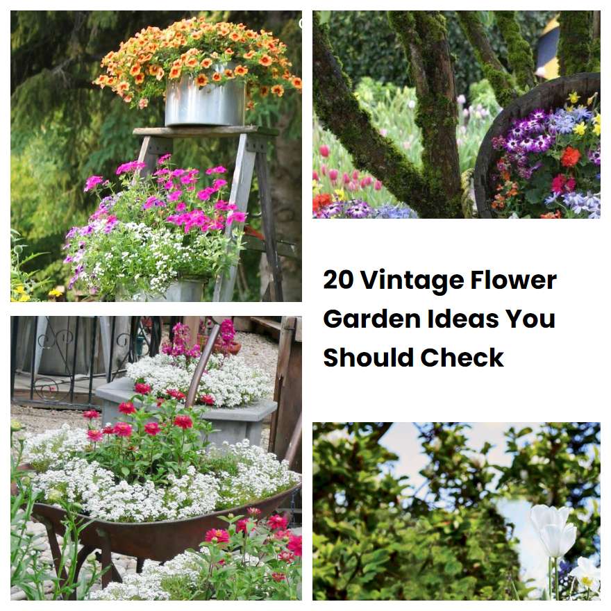 20 Vintage Flower Garden Ideas You Should Check SharonSable