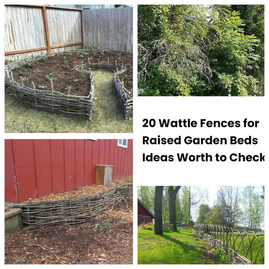 20 Wattle Fences for Raised Garden Beds Ideas Worth to Check SharonSable