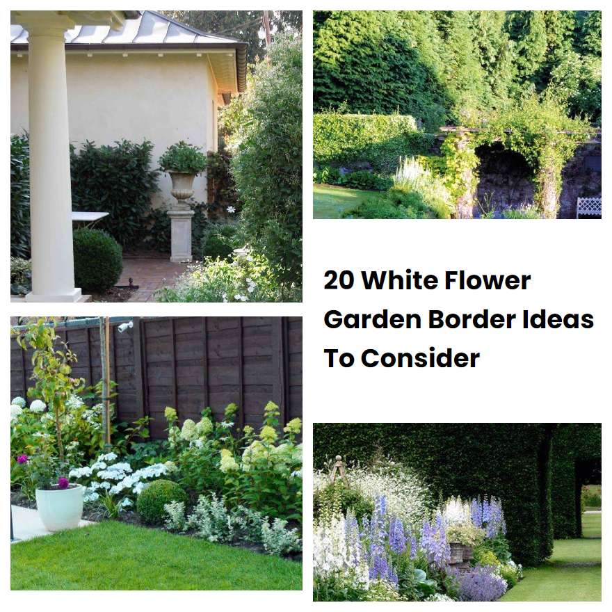 20 White Flower Garden Border Ideas To Consider SharonSable