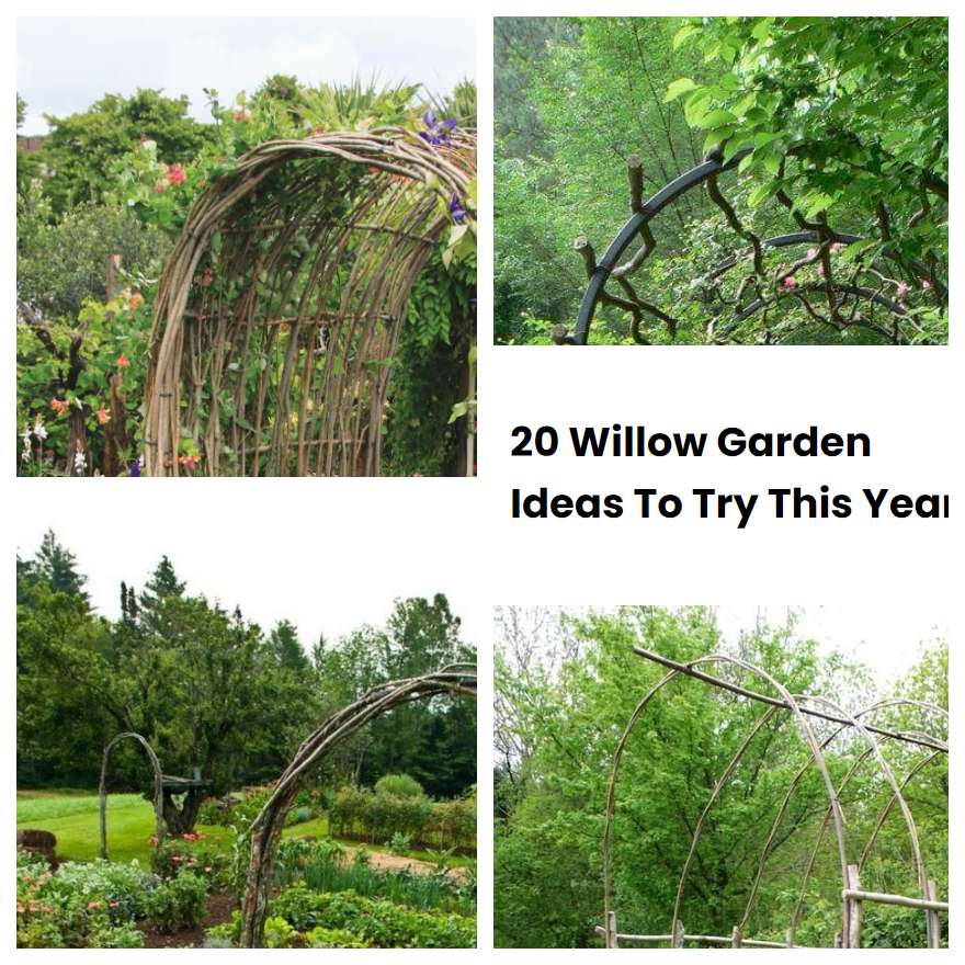 20 Willow Garden Ideas To Try This Year