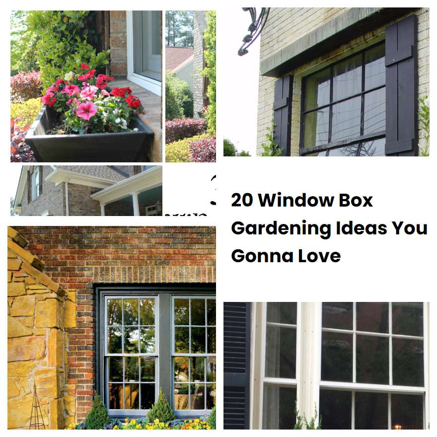 20 Window Box Gardening Ideas You Gonna Love