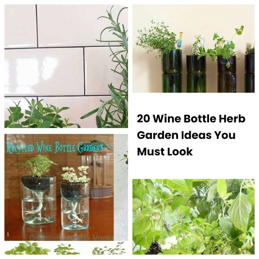 20 Wine Bottle Herb Garden Ideas You Must Look SharonSable