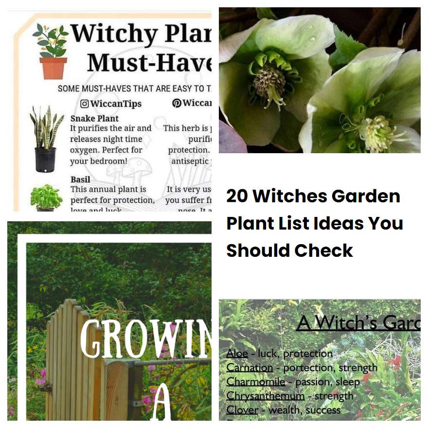20 Witches Garden Plant List Ideas You Should Check SharonSable