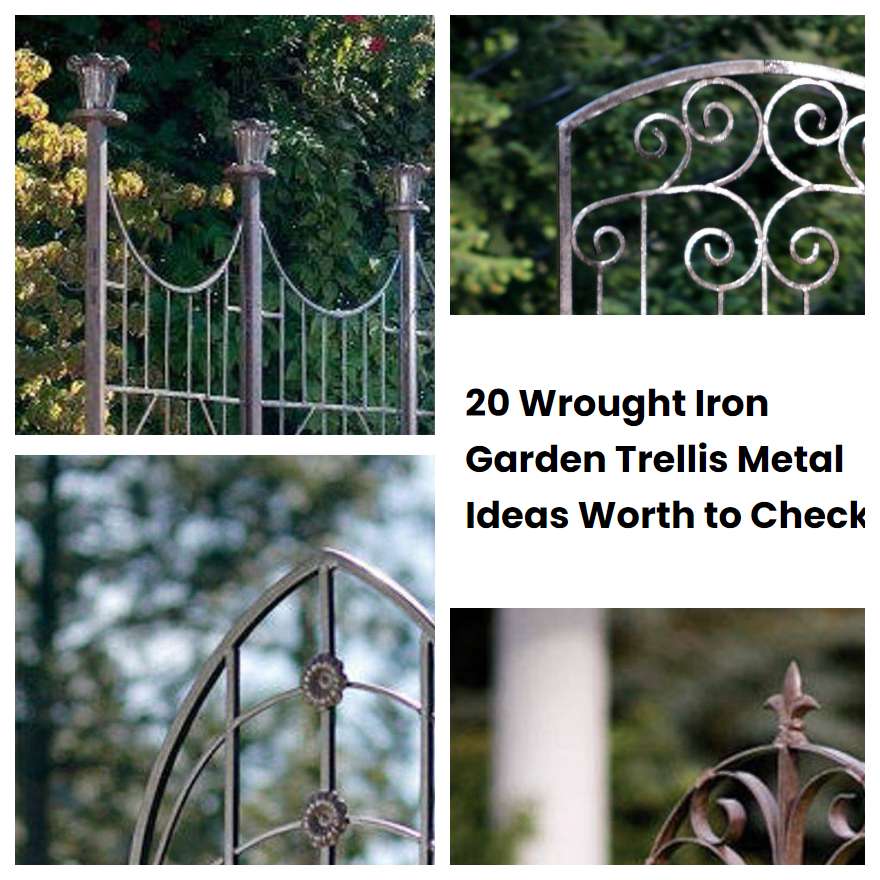 20 Wrought Iron Garden Trellis Metal Ideas Worth to Check SharonSable