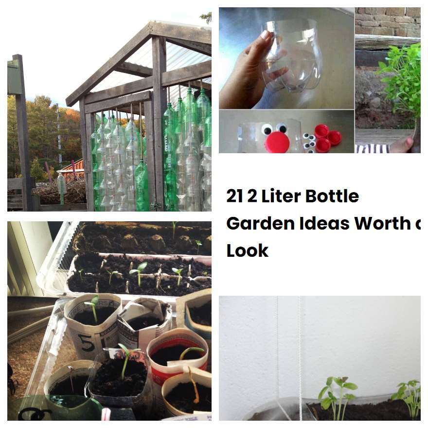 21 2 Liter Bottle Garden Ideas Worth a Look