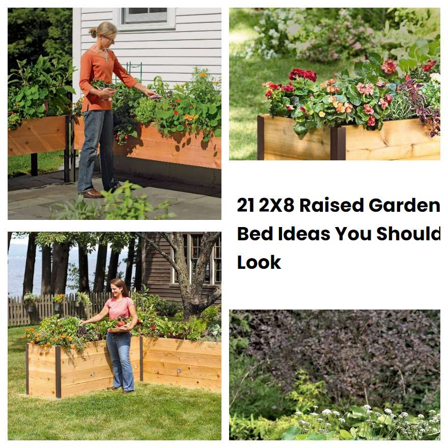 21 2X8 Raised Garden Bed Ideas You Should Look
