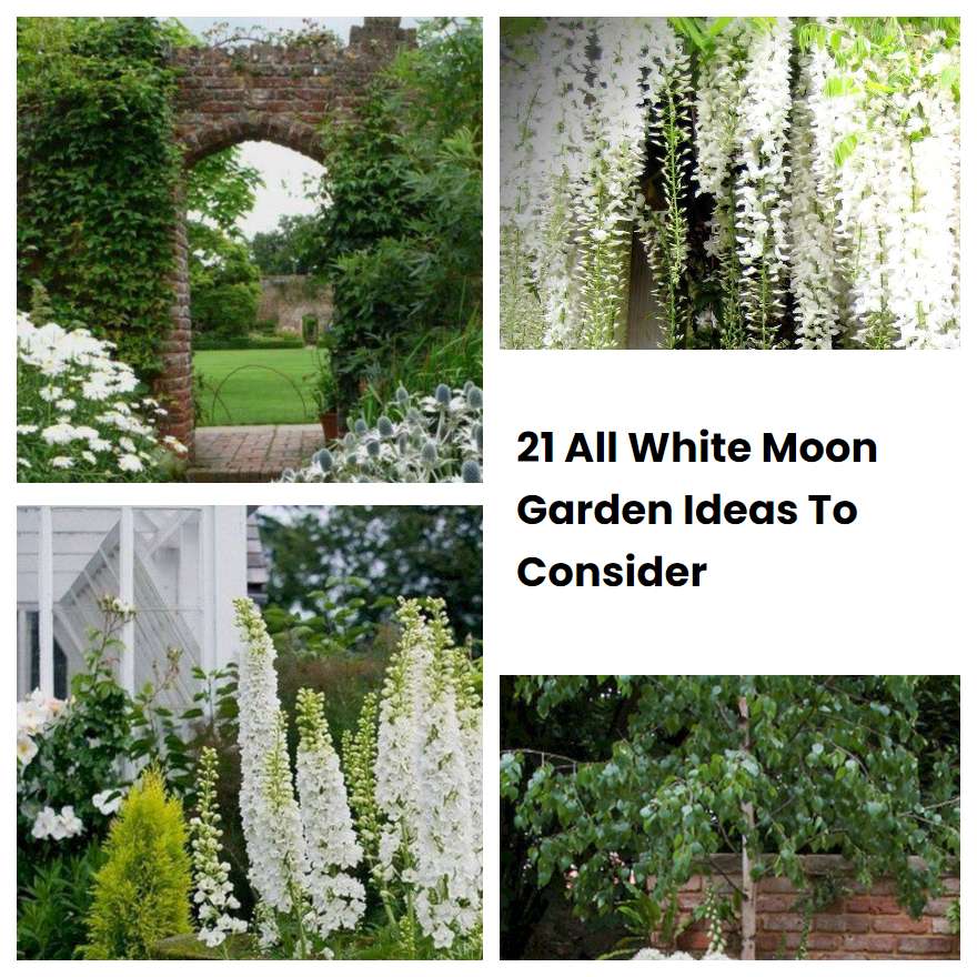 21 All White Moon Garden Ideas To Consider