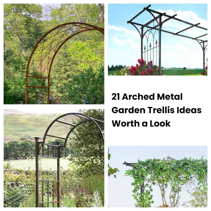 21 Arched Metal Garden Trellis Ideas Worth a Look SharonSable