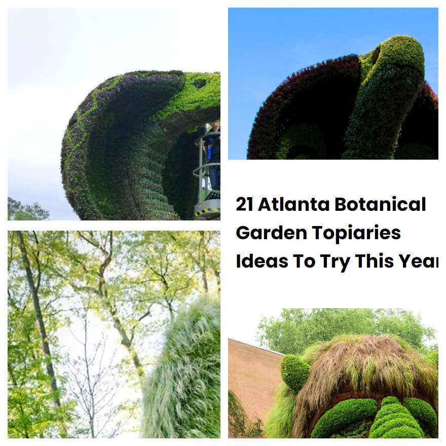 21 Atlanta Botanical Garden Topiaries Ideas To Try This Year