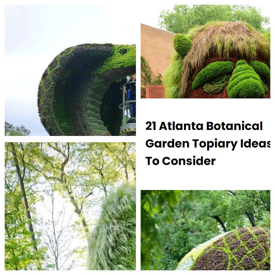 21 Atlanta Botanical Garden Topiary Ideas To Consider
