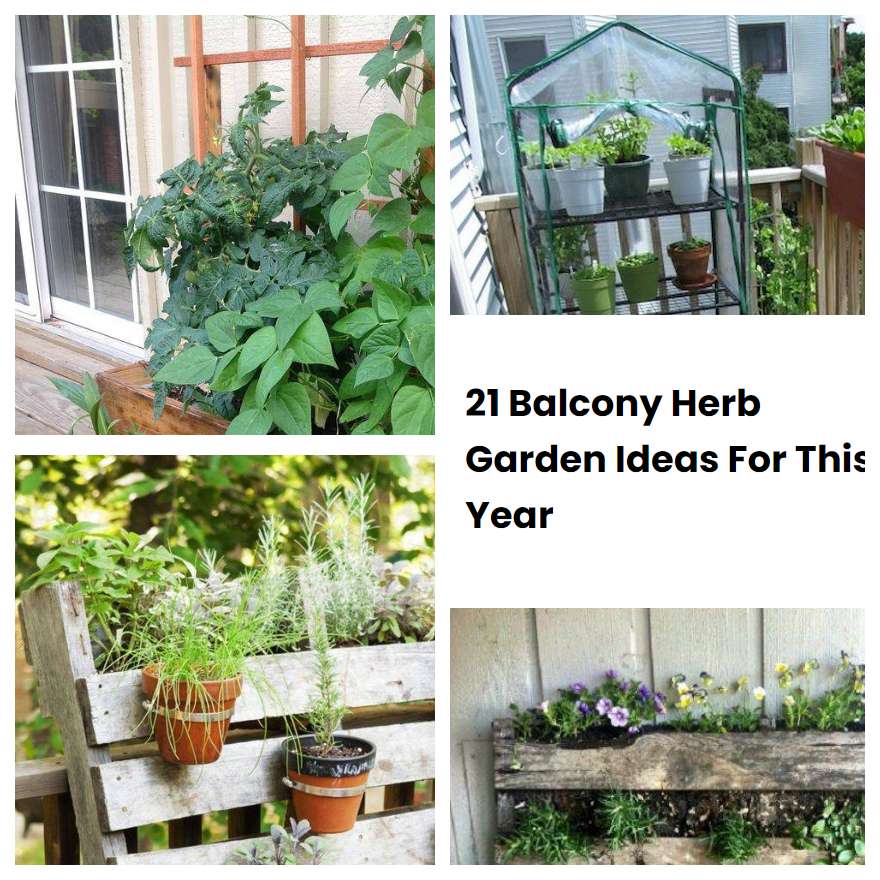 21 Balcony Herb Garden Ideas For This Year SharonSable