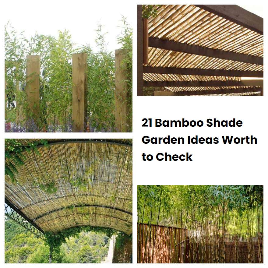 21 Bamboo Shade Garden Ideas Worth to Check