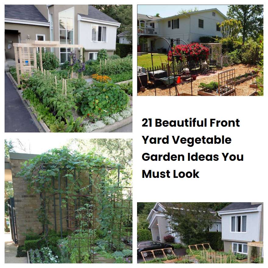 21 Beautiful Front Yard Vegetable Garden Ideas You Must Look