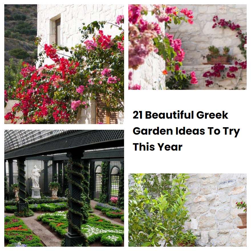 21 Beautiful Greek Garden Ideas To Try This Year SharonSable