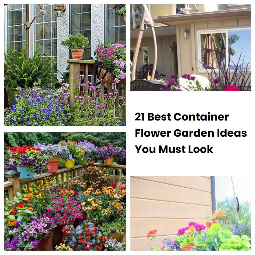 21 Best Container Flower Garden Ideas You Must Look SharonSable