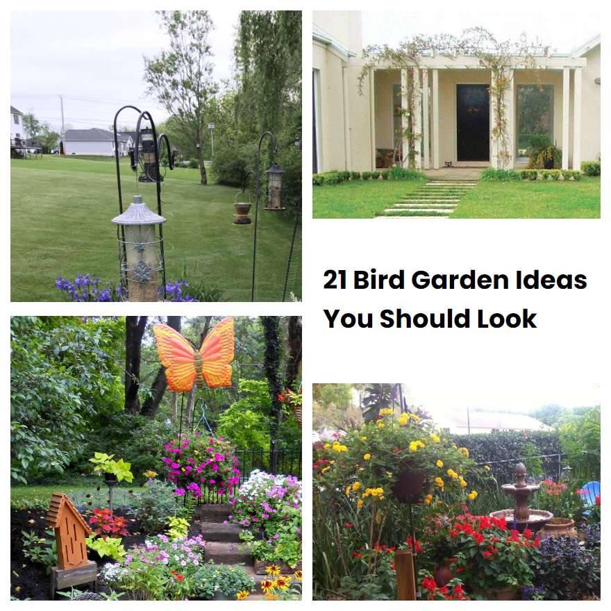 21 Bird Garden Ideas You Should Look SharonSable
