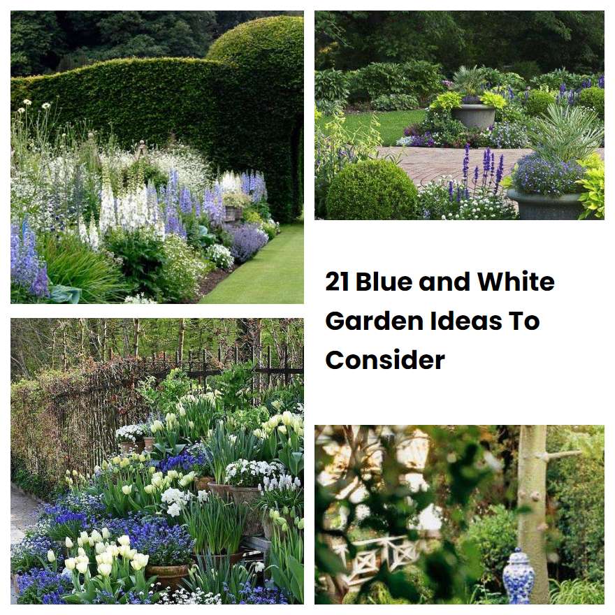 21 Blue and White Garden Ideas To Consider