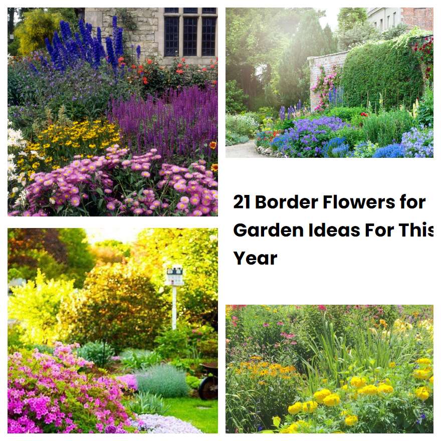 21 Border Flowers for Garden Ideas For This Year