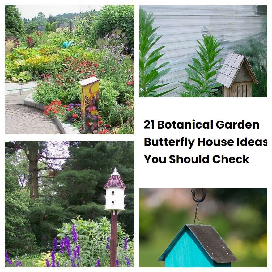 21 Botanical Garden Butterfly House Ideas You Should Check