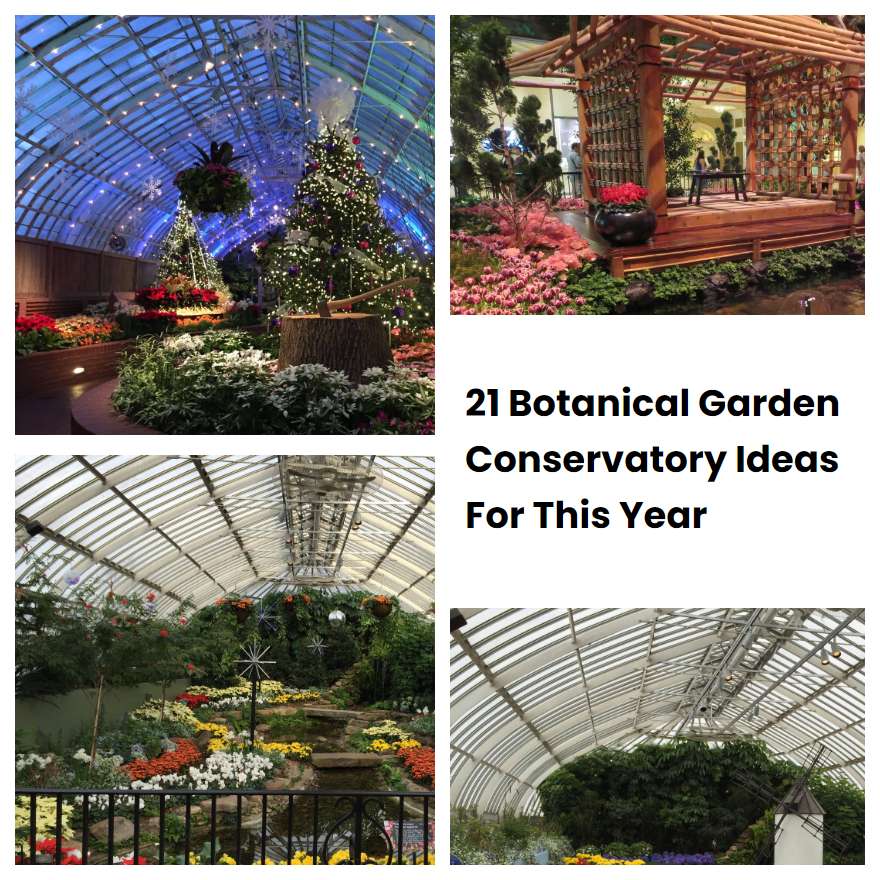 21 Botanical Garden Conservatory Ideas For This Year