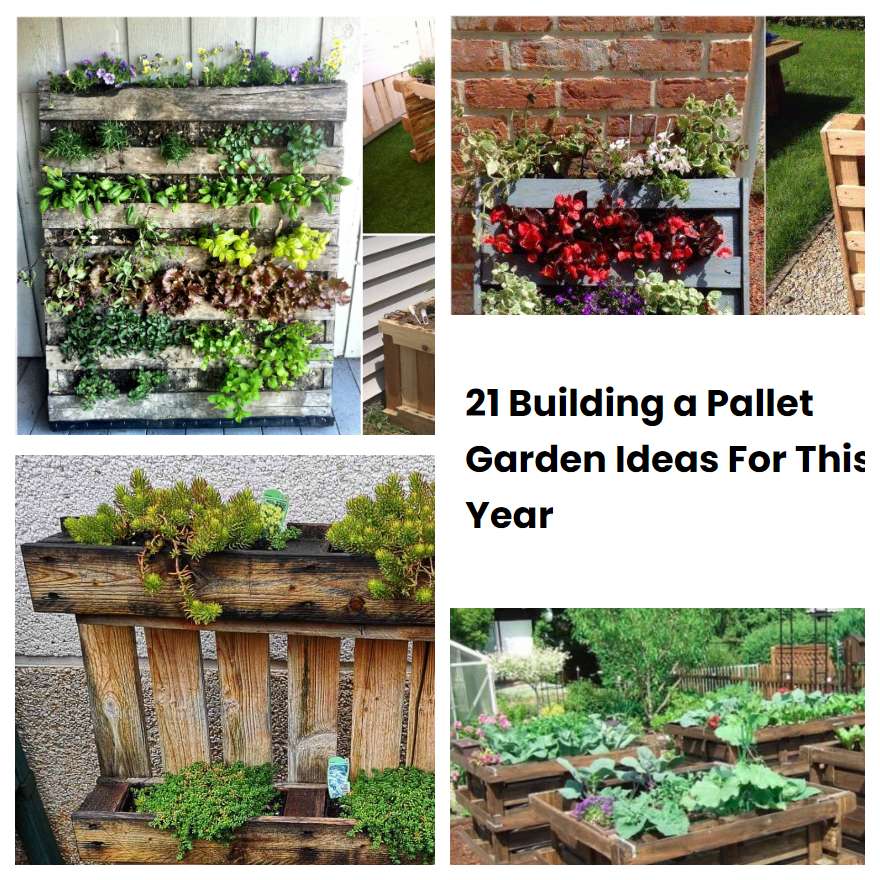 21 Building a Pallet Garden Ideas For This Year