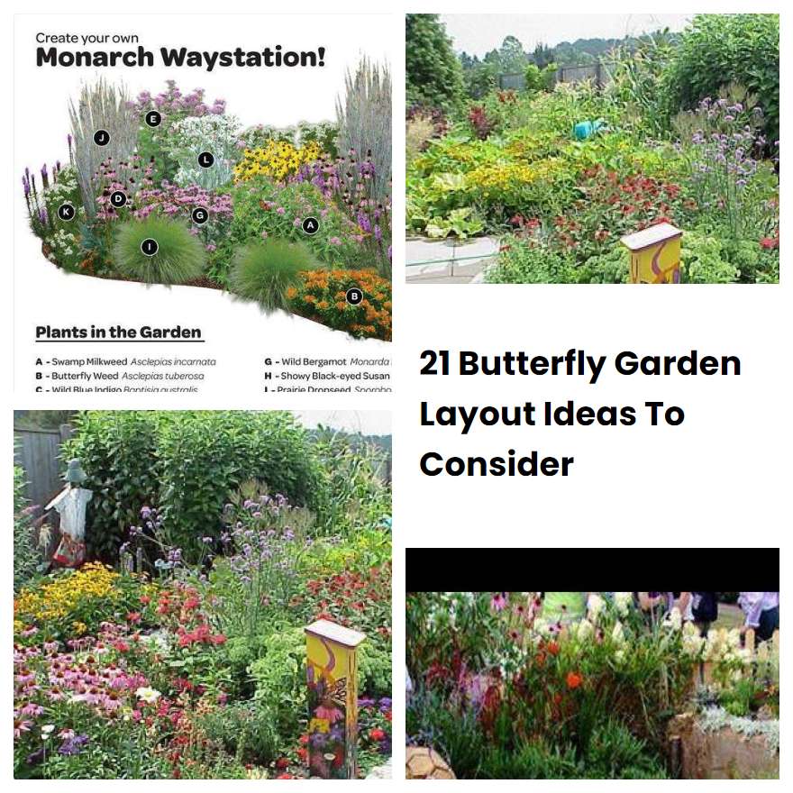 21 Butterfly Garden Layout Ideas To Consider